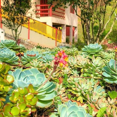 Sitio Dos Palmitos - Casa Pupunha Hotell Pedra Azul  Exteriör bild